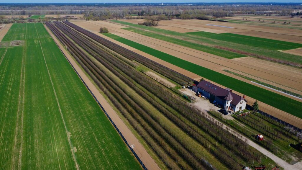 Piękne siedlisko  z domem i halą obok Konstancina - zdjęcie 9