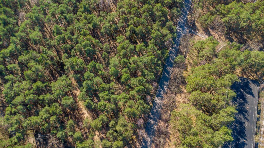 Działka 3300 m2 Linin gm. Góra Kalwaria - zdjęcie 5