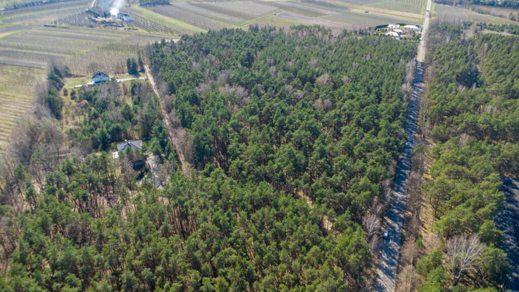 Działka 3300 m2 Linin gm. Góra Kalwaria - zdjęcie 10