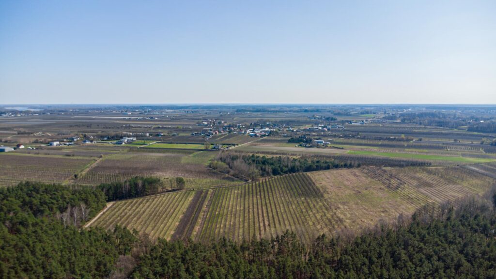 Działka 3300 m2 Linin gm. Góra Kalwaria - zdjęcie 15