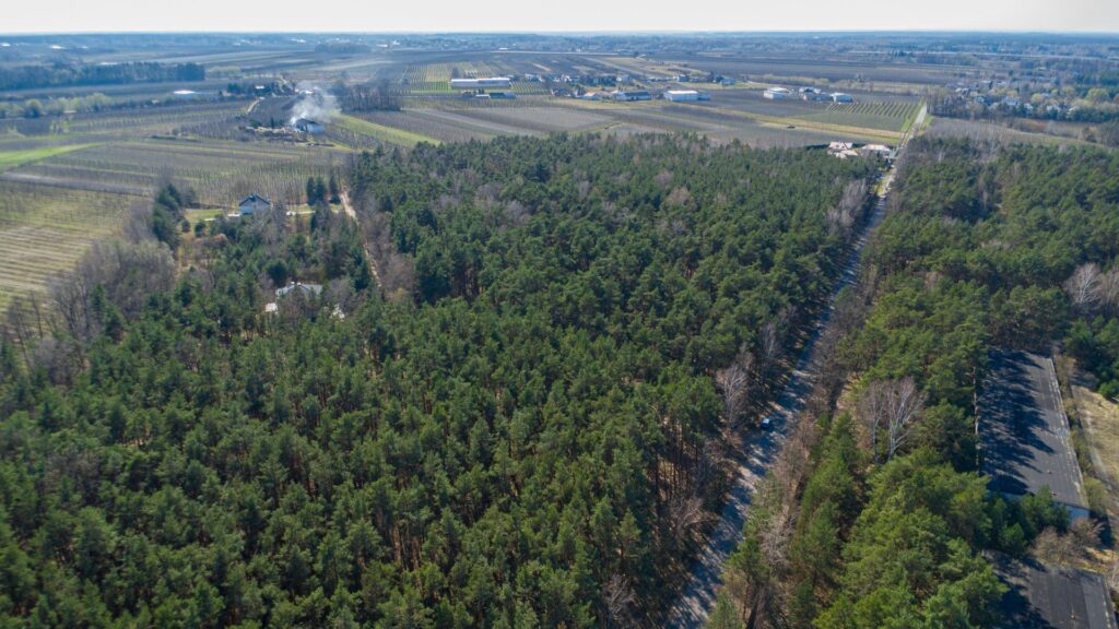 Działka 3300 m2 Linin gm. Góra Kalwaria - zdjęcie 17
