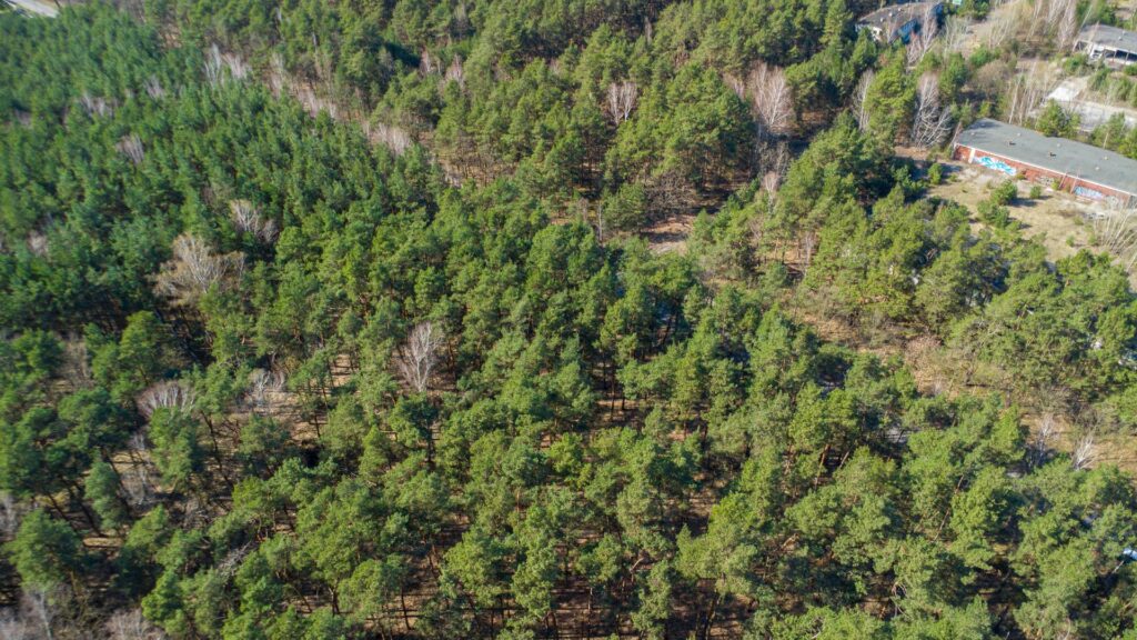 Działka 3300 m2 Linin gm. Góra Kalwaria - zdjęcie 18