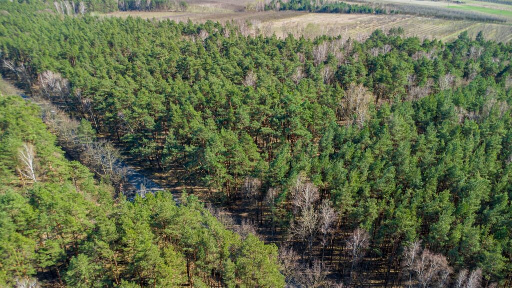 Działka 3300 m2 Linin gm. Góra Kalwaria - zdjęcie 20