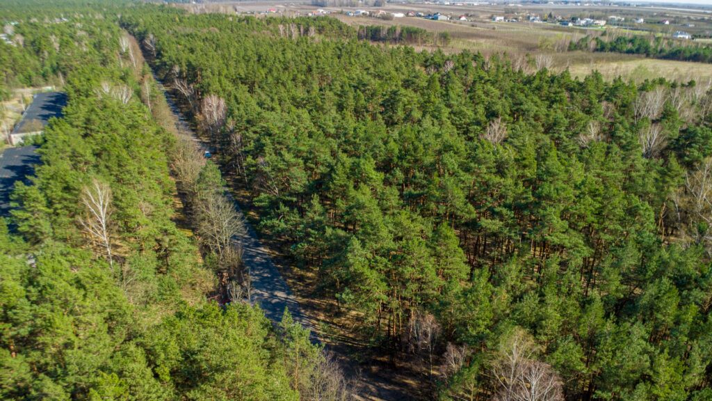 Działka 3300 m2 Linin gm. Góra Kalwaria - zdjęcie 21
