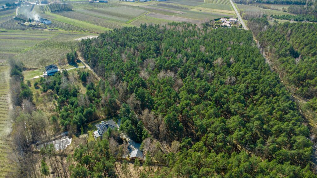 Działka 3300 m2 Linin gm. Góra Kalwaria - zdjęcie 22