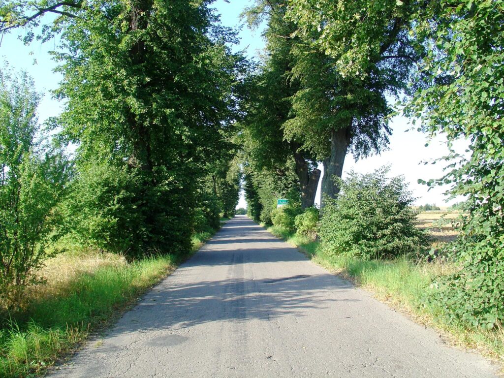 Działka budowlana Szropy. - zdjęcie 5