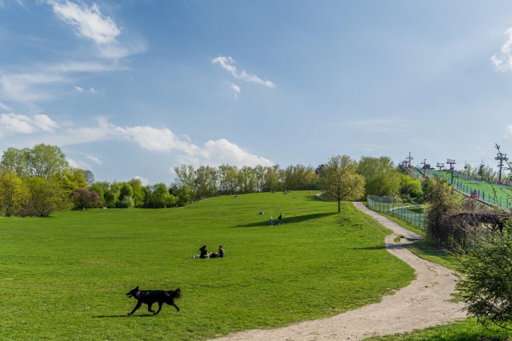 Na sprzedaż – Stylowy apartament klasy premium - zdjęcie 22