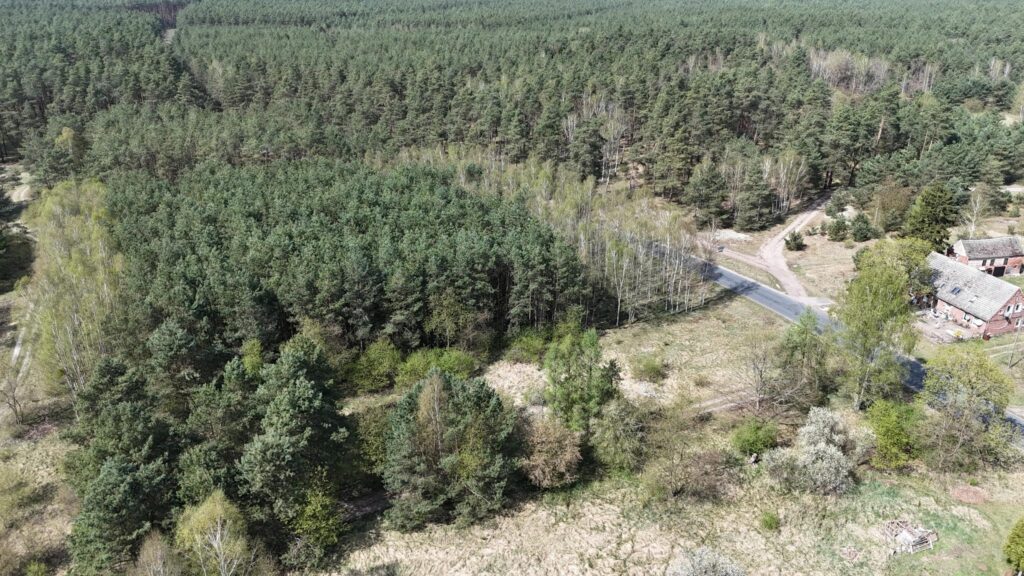 Działka 3025 m² – Wierzchosław, gm. Goleniów - zdjęcie 10