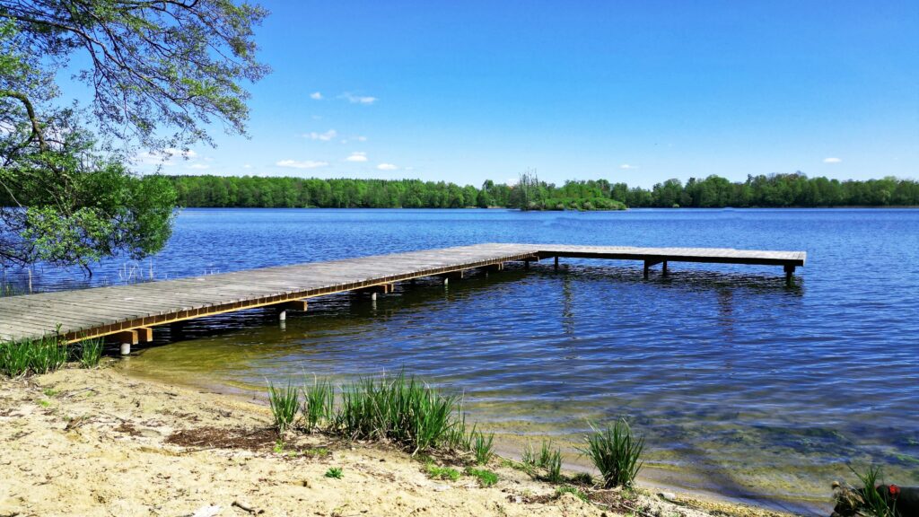 Działka nad jeziorem z warunkami zabudowy - zdjęcie 17