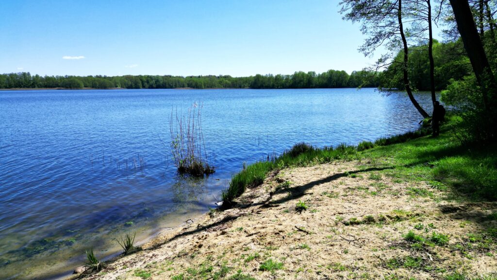 Działka nad jeziorem z warunkami zabudowy - zdjęcie 18