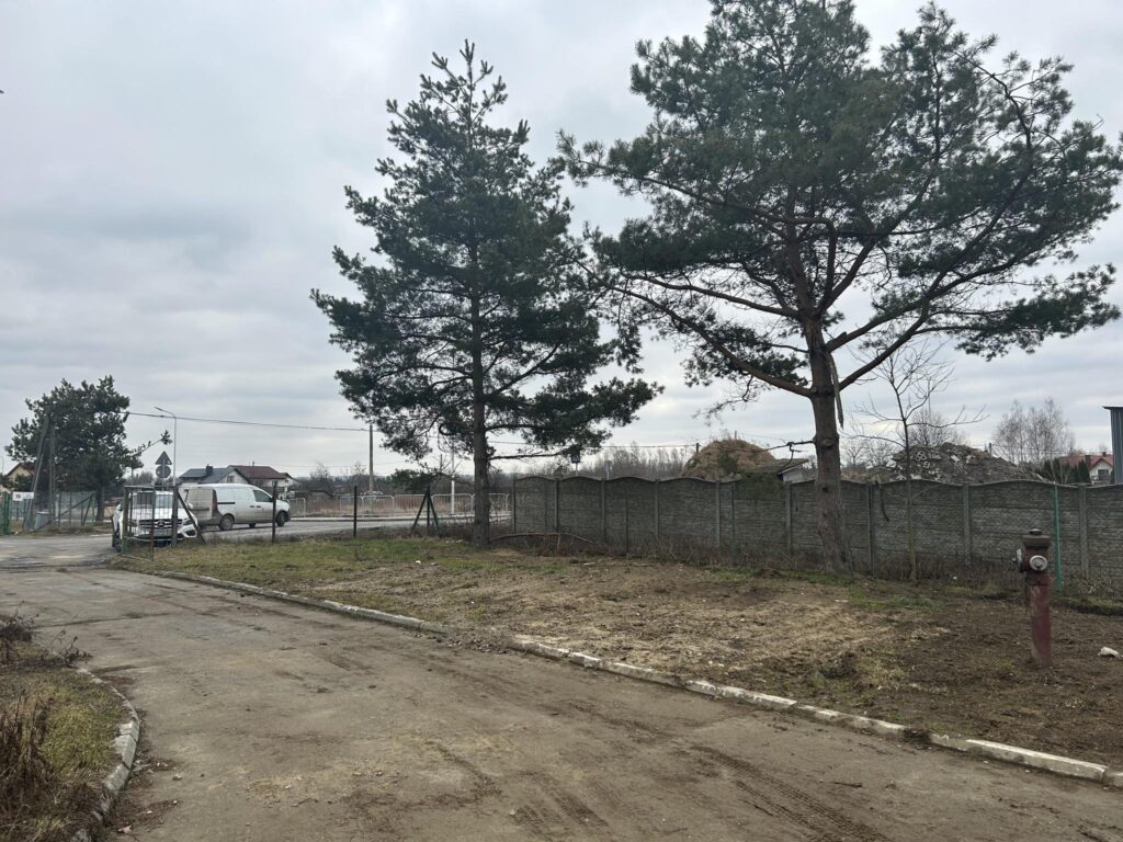 Budynek w Sędziszowie z dużą działką - zdjęcie 6