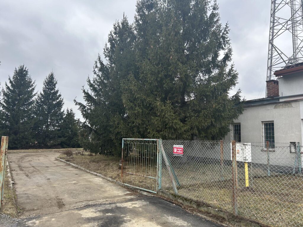 Budynek w Sędziszowie z dużą działką - zdjęcie 7