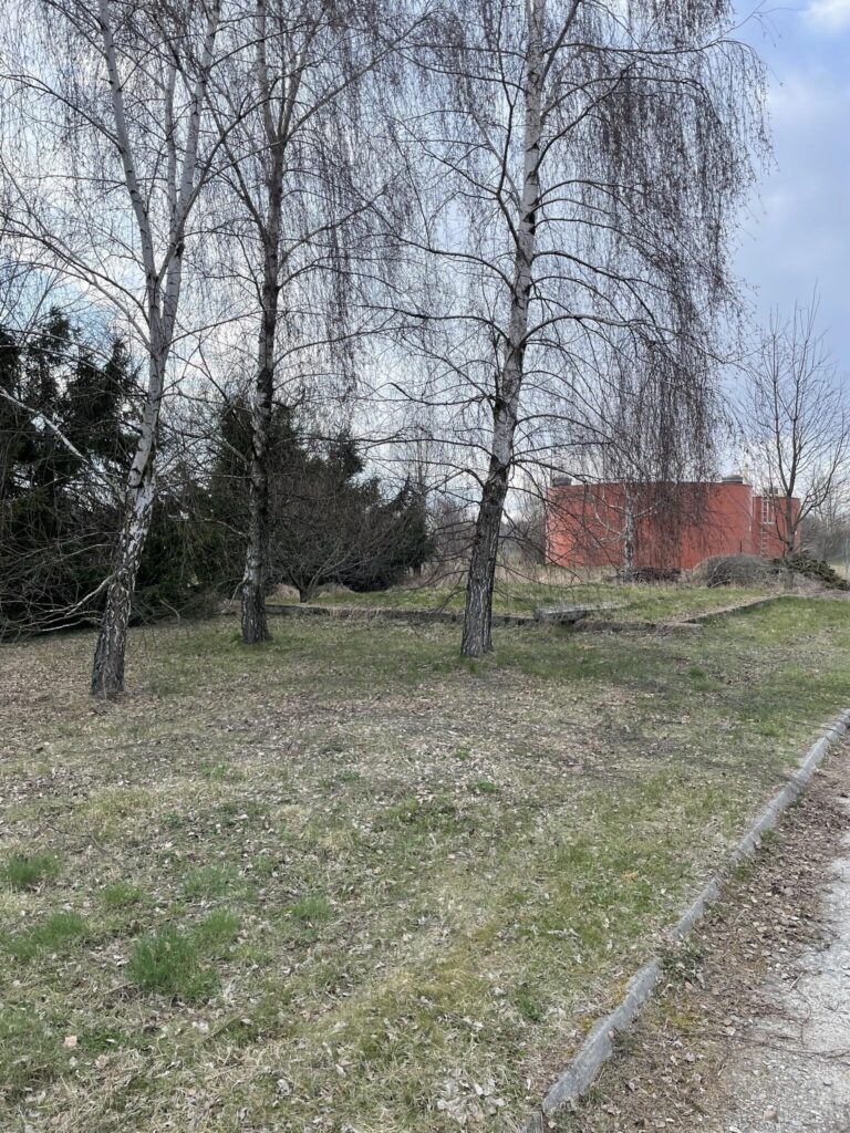 Budynek w Sędziszowie z dużą działką - zdjęcie 5