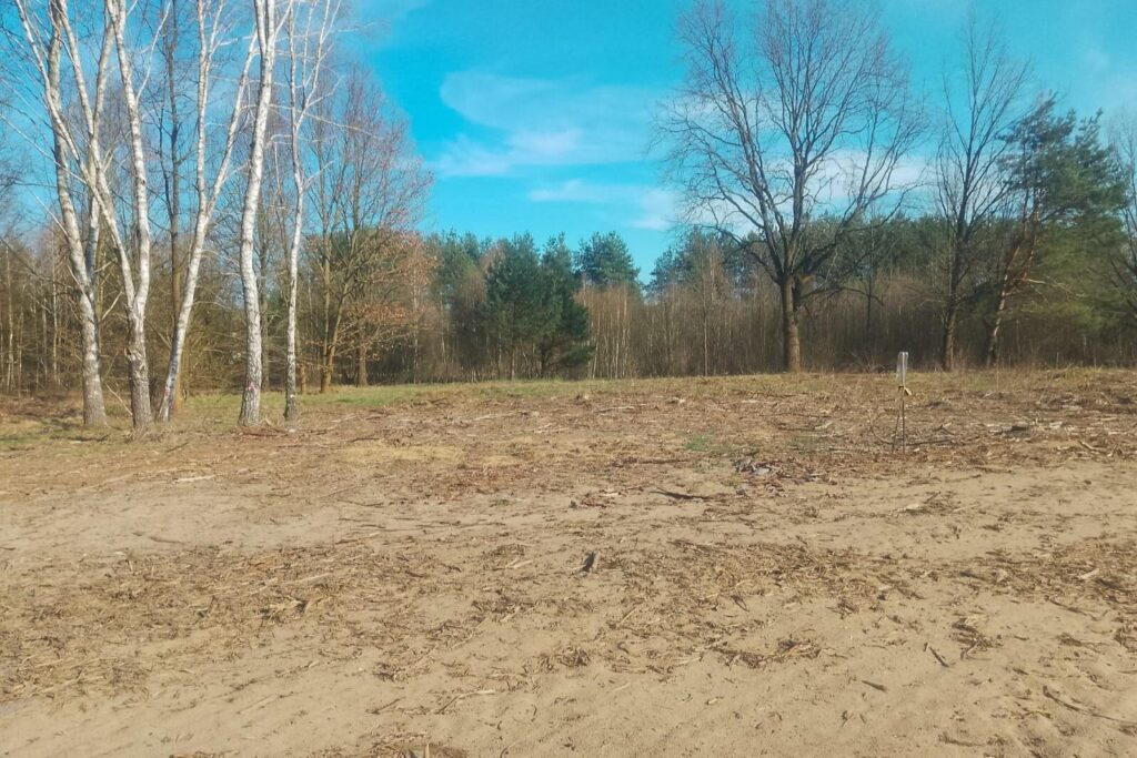 Działki z warunkami zabudowy Górki - zdjęcie 1