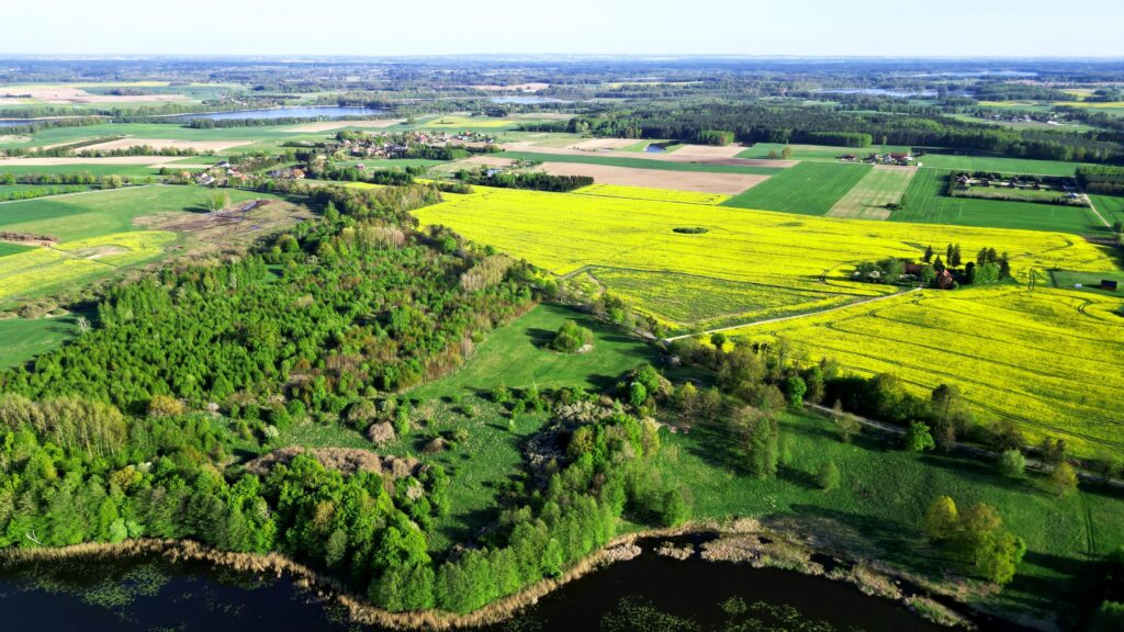 Duża działka z WZ oraz  linią brzegową jeziora - zdjęcie 2