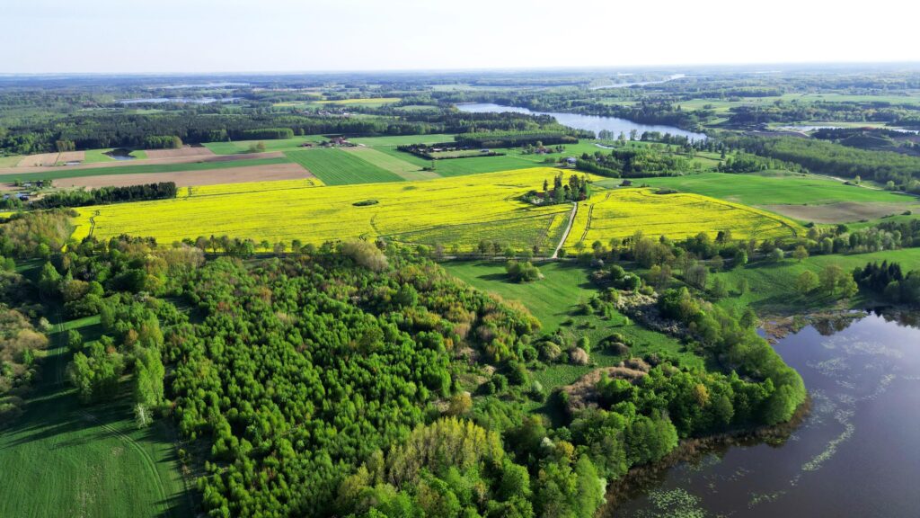 Duża działka z WZ oraz  linią brzegową jeziora - zdjęcie 3