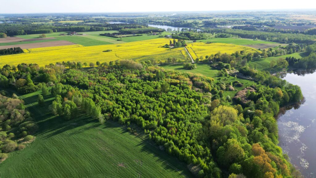 Duża działka z WZ oraz  linią brzegową jeziora - zdjęcie 4
