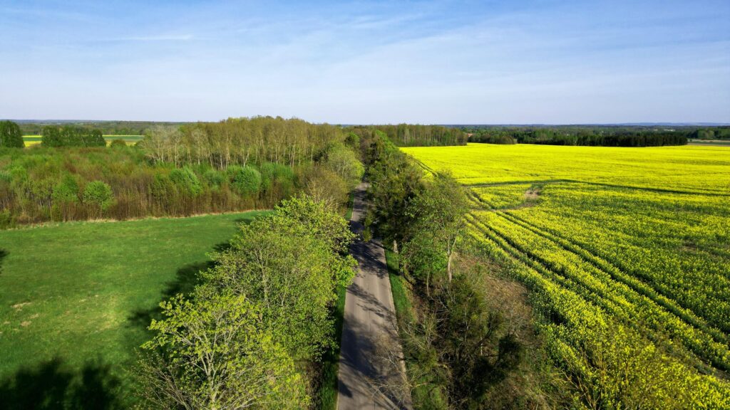Duża działka z WZ oraz  linią brzegową jeziora - zdjęcie 8