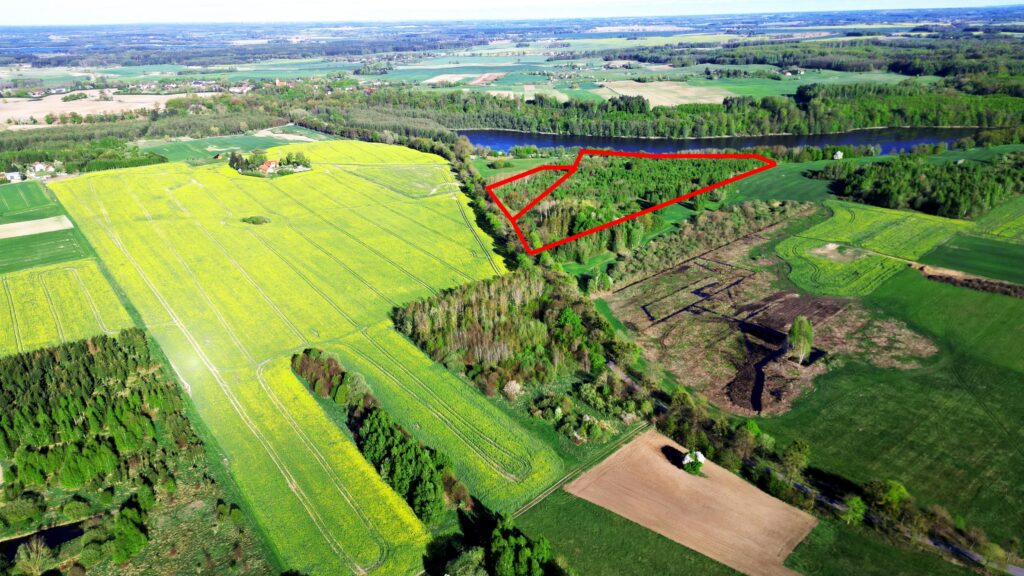 Duża działka z WZ oraz  linią brzegową jeziora - zdjęcie 9