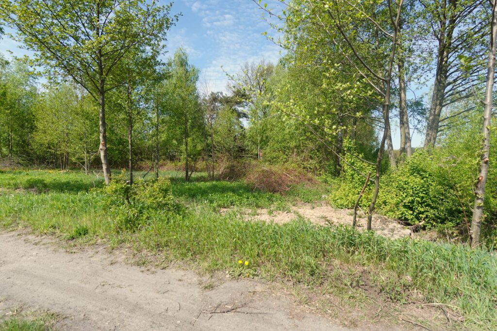 Działki z wydanymi warunkami zabudowy Rysie - zdjęcie 5