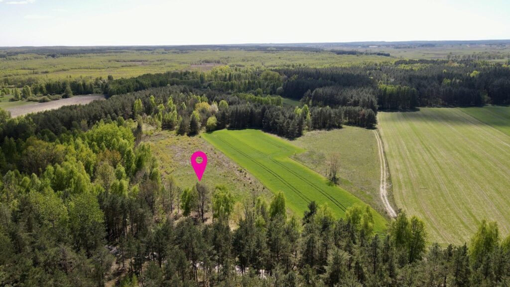 Działka rolno-leśna na sprzedaż Uhowo gm. Łapy - zdjęcie 2