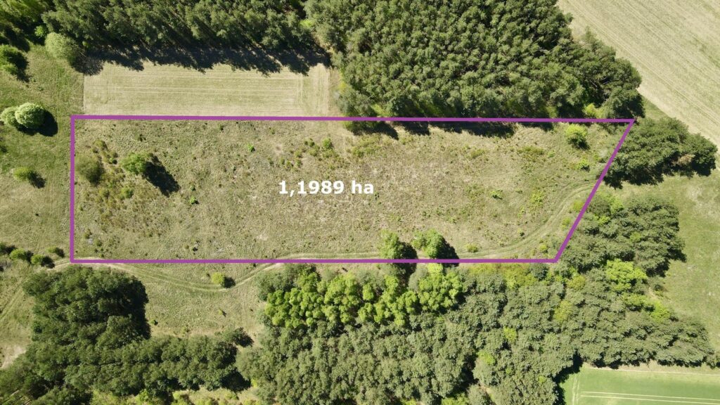 Działka rolna koło Uhowa, gmina Łapy - zdjęcie 1