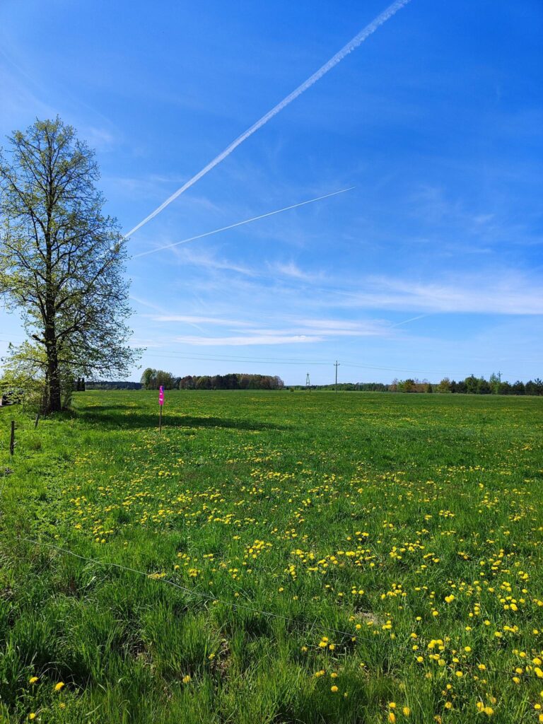 Działka budowlana w Dobrzyniówce - zdjęcie 1