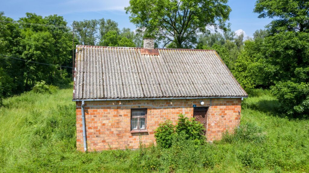 Dom na dużej działce - zdjęcie 3