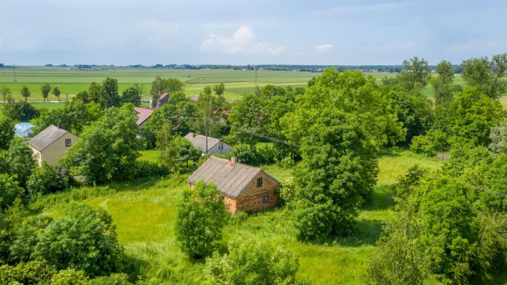 Dom na dużej działce - zdjęcie 4