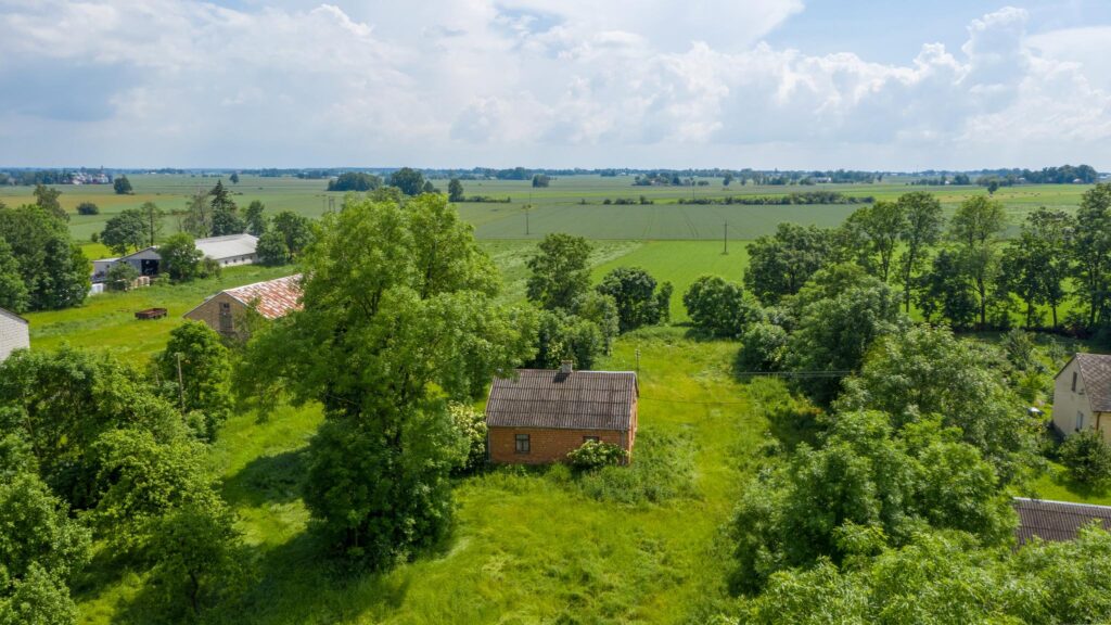 Dom na dużej działce - zdjęcie 5