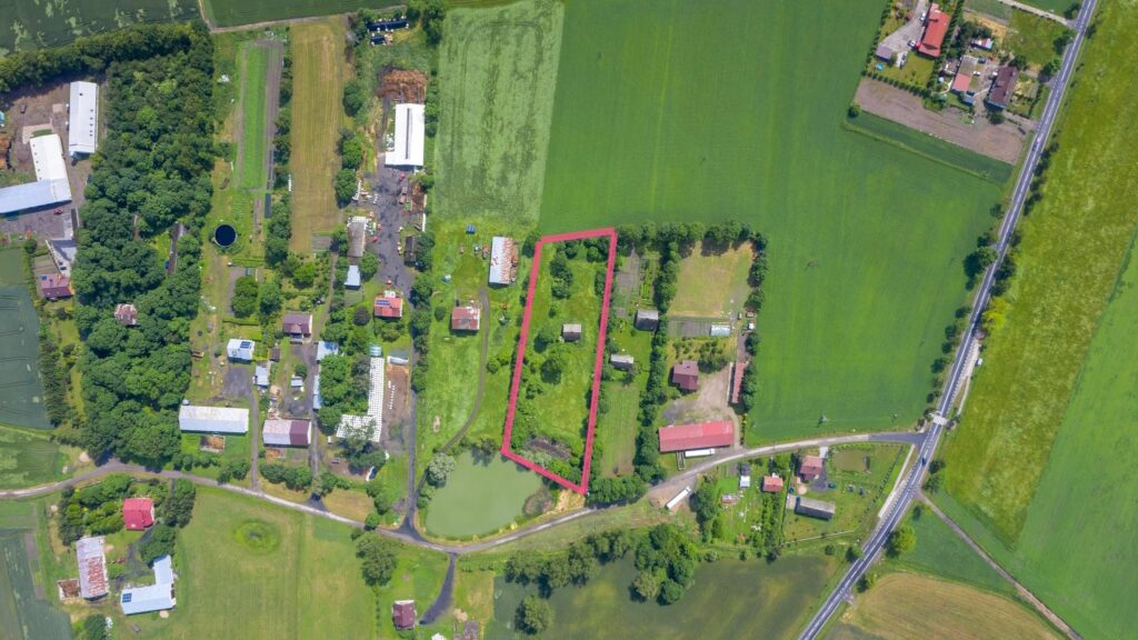 Dom na dużej działce - zdjęcie 8