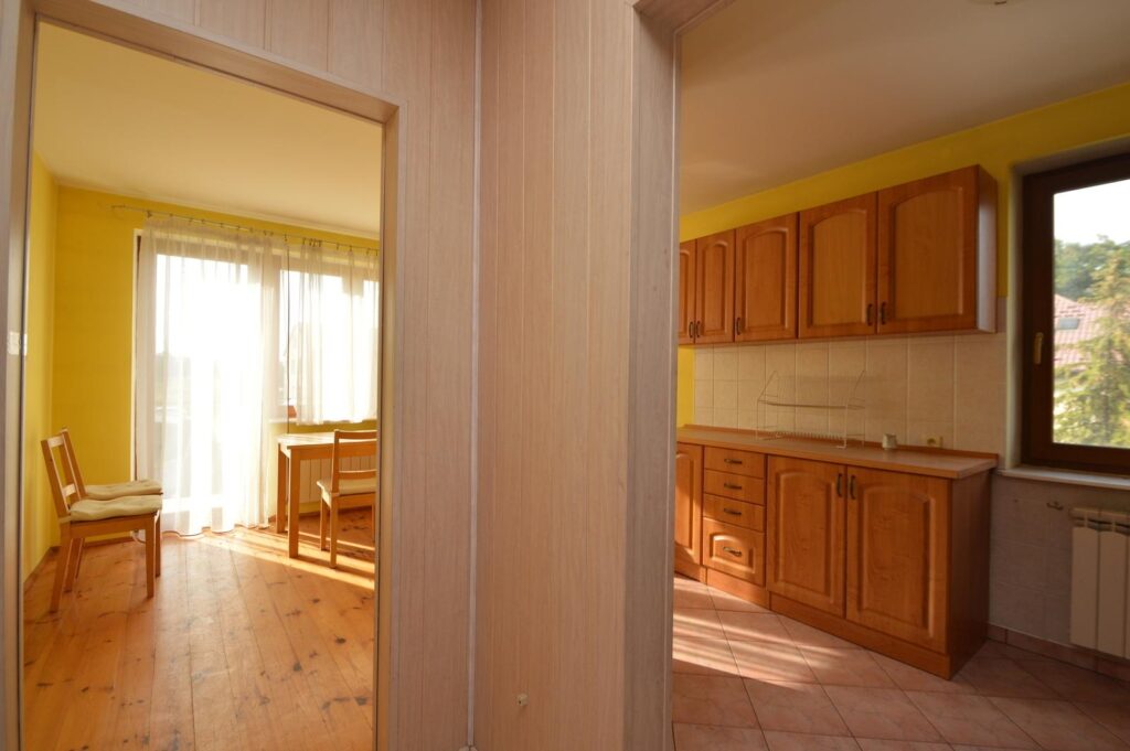 Duży dom I dwa mieszkania I duża działka - zdjęcie 2