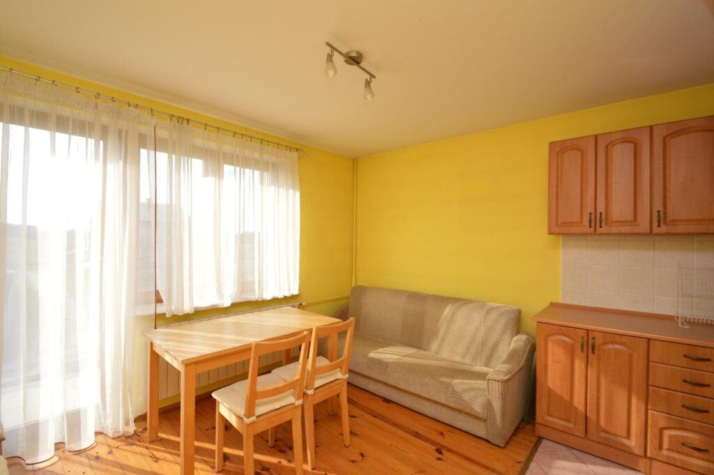 Duży dom I dwa mieszkania I duża działka - zdjęcie 3