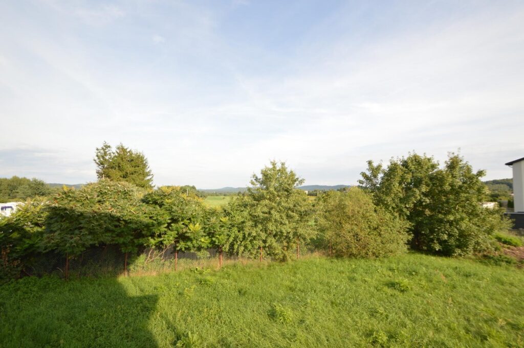 Duży dom I dwa mieszkania I duża działka - zdjęcie 24