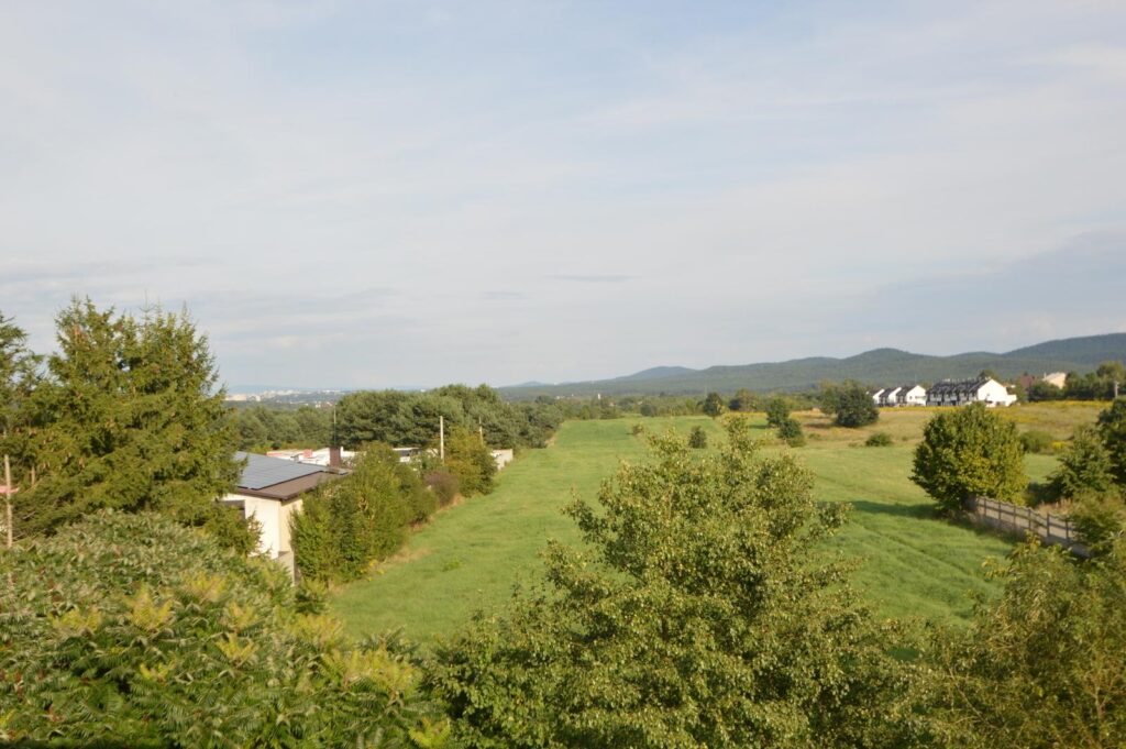 Duży dom I dwa mieszkania I duża działka - zdjęcie 25