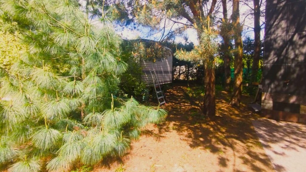 Działka z domkiem Holenderskim - okazja - zdjęcie 7