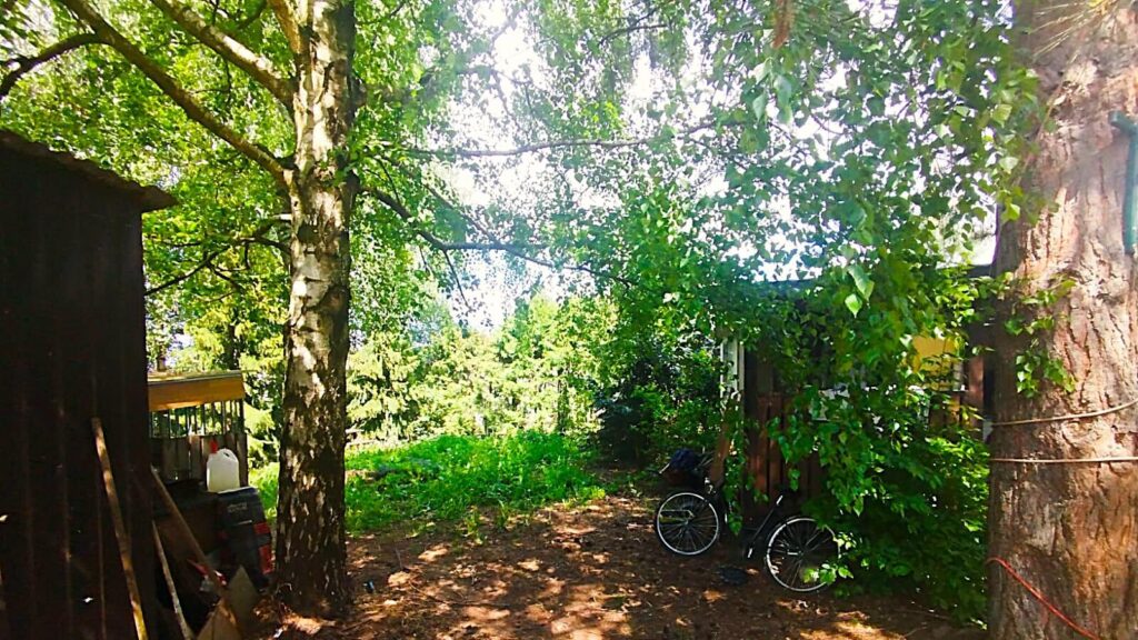 Działka z domkiem Holenderskim - okazja - zdjęcie 4