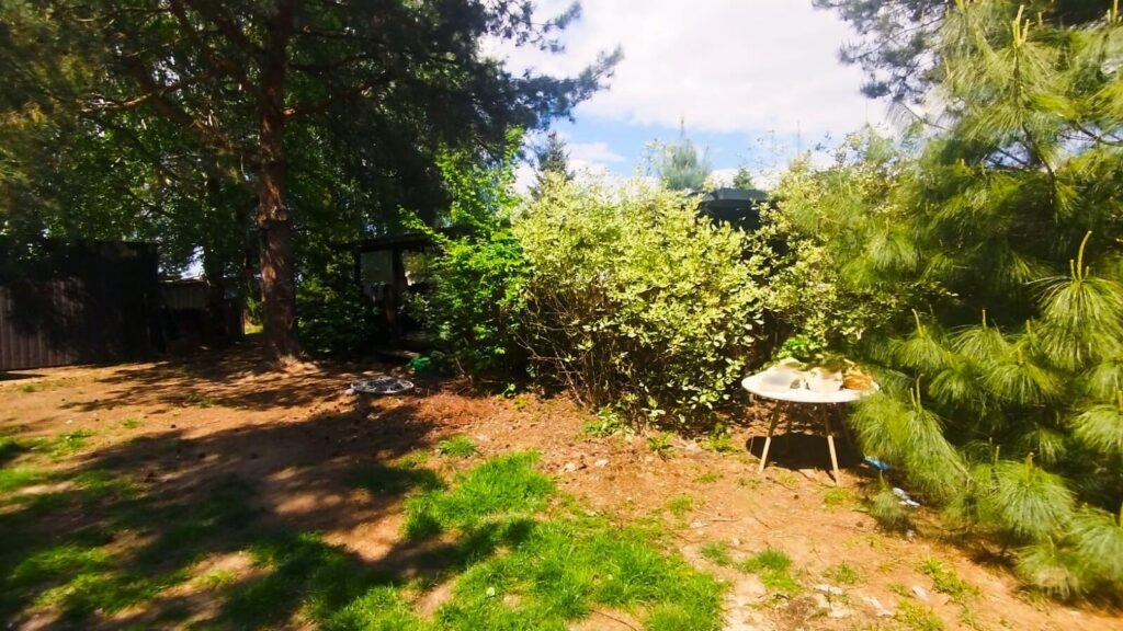 Działka z domkiem Holenderskim - okazja - zdjęcie 8