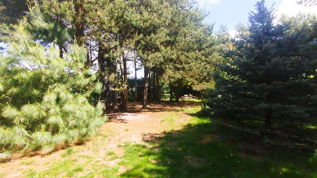 Działka z domkiem Holenderskim - okazja - zdjęcie 6