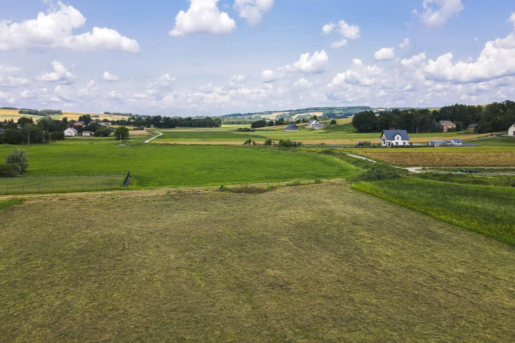 Działka 21,49 ar | WZ | blisko szkoła - zdjęcie 7