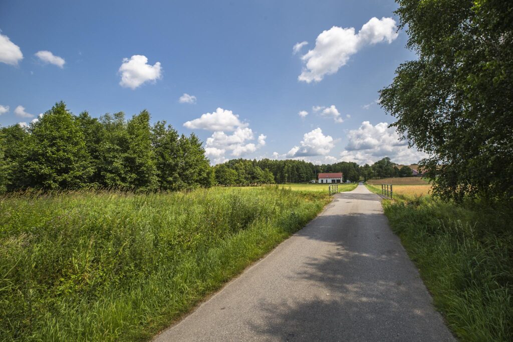 Działka 21,49 ar | WZ | blisko szkoła - zdjęcie 9