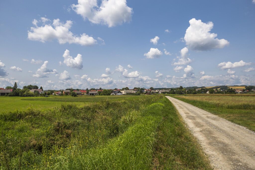 Działka 21,49 ar | WZ | blisko szkoła - zdjęcie 10