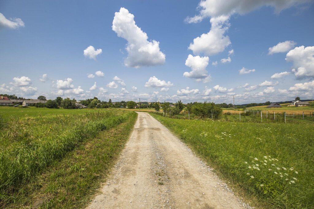 Działka 21,49 ar | WZ | blisko szkoła - zdjęcie 11