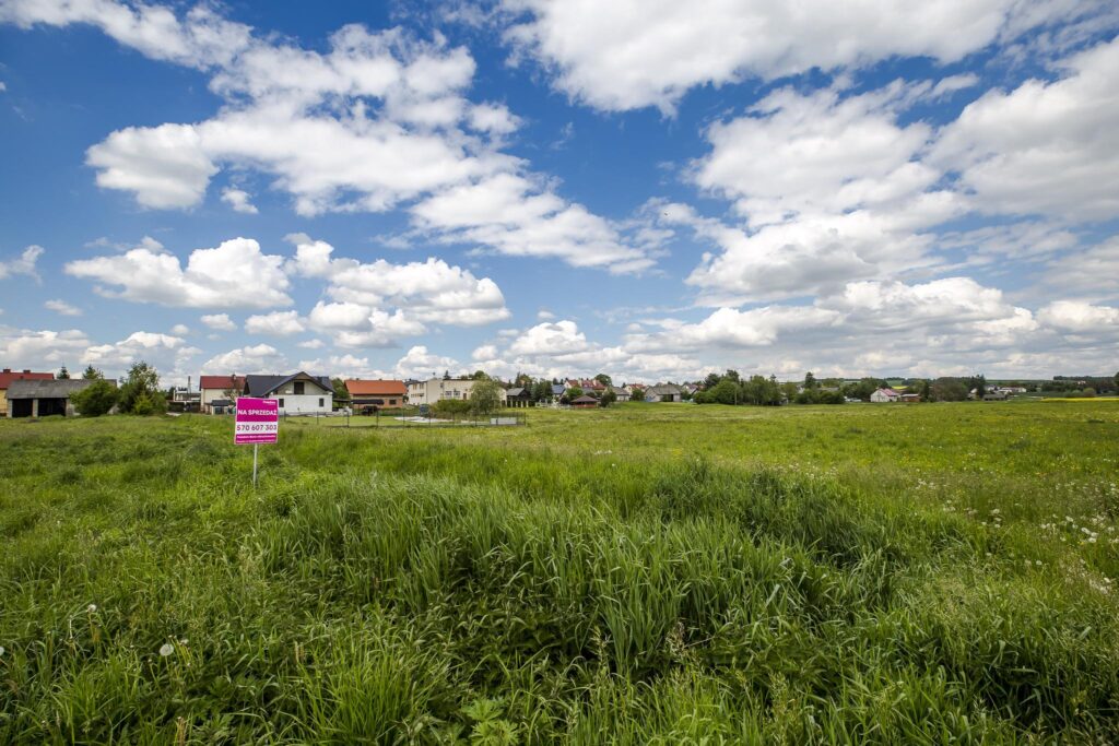 Działka 21,49 ar | WZ | blisko szkoła - zdjęcie 3
