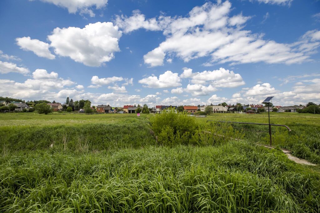 Działka 21,49 ar | WZ | blisko szkoła - zdjęcie 6