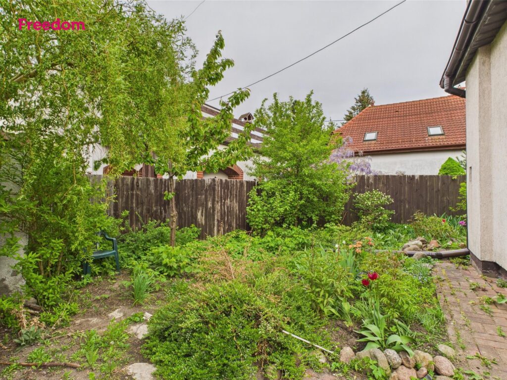 Dom z ogrodem – Zielona Górka - zdjęcie 14