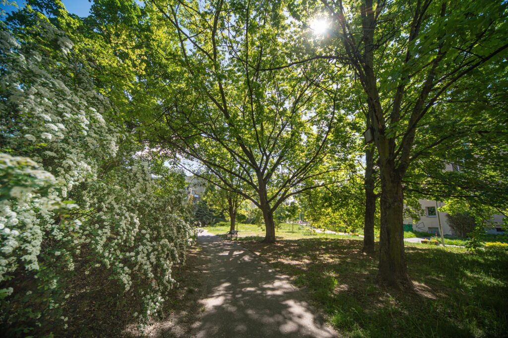 2-pokojowe mieszkanie 47 m² – Ursynów, świetna lok - zdjęcie 14