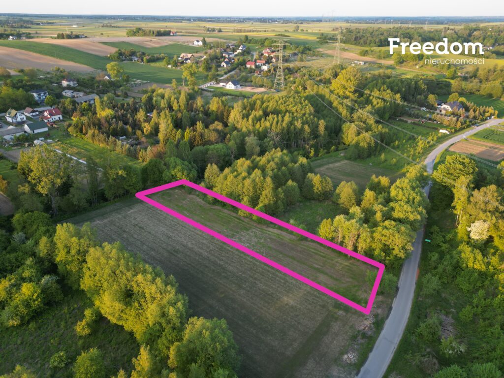 Działa 21 ary w Pliszczynie - zdjęcie 1