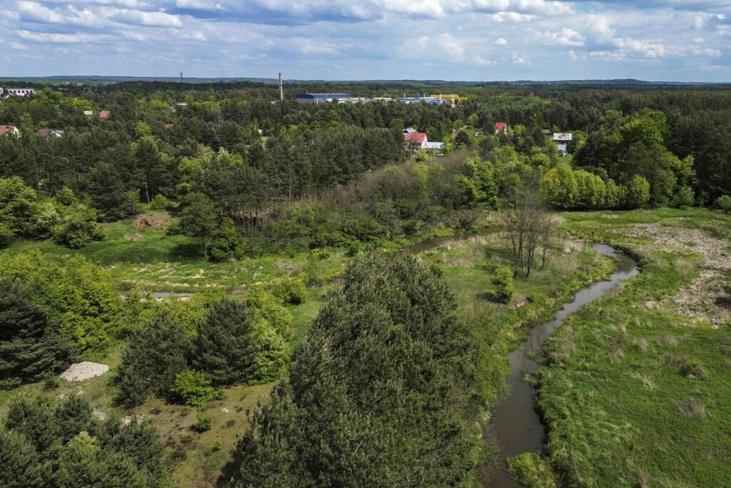 Rudnik nad Sanem, Podkarpackie, ul. Rzeszowska - zdjęcie 2
