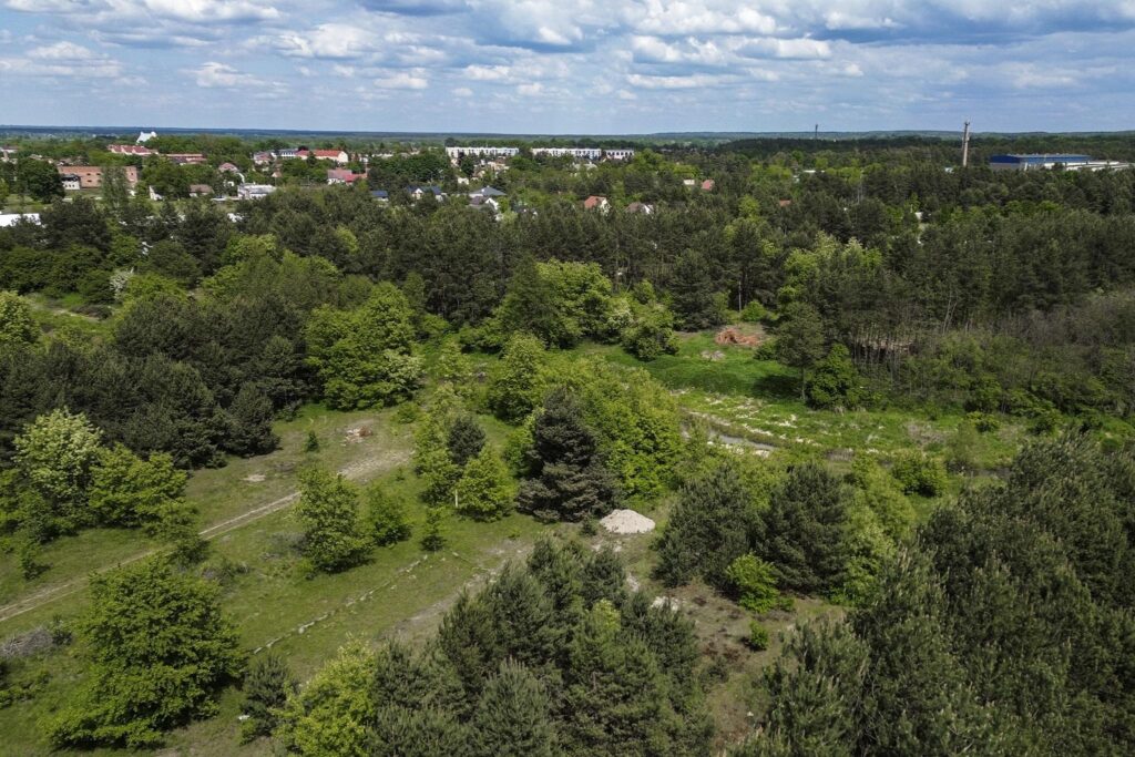 Rudnik nad Sanem, Podkarpackie, ul. Rzeszowska - zdjęcie 3